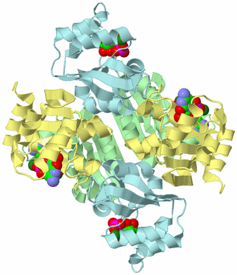 Image Biological Unit 2