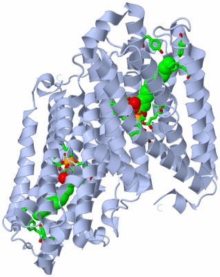 Image Biol. Unit 1 - sites