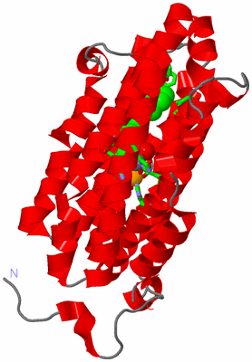 Image Asym. Unit - sites