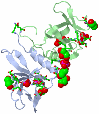 Image Biol. Unit 1 - sites