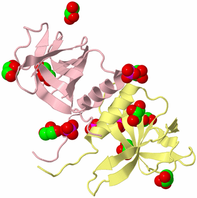 Image Biological Unit 2