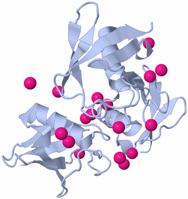 Image Biological Unit 3