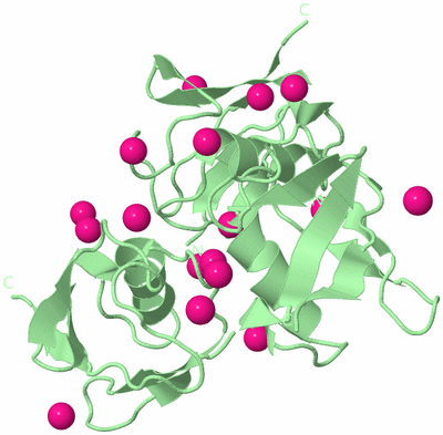 Image Biological Unit 4