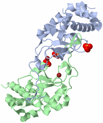 Image Biological Unit 1