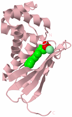 Image Biological Unit 3