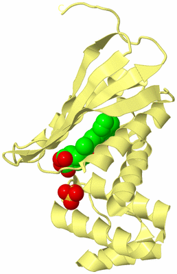 Image Biological Unit 4