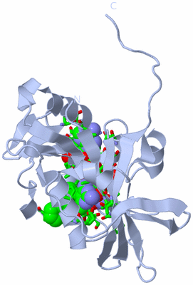 Image Biol. Unit 1 - sites