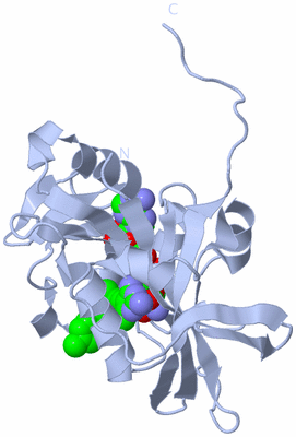 Image Biological Unit 1