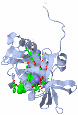 Image Biol. Unit 1 - sites