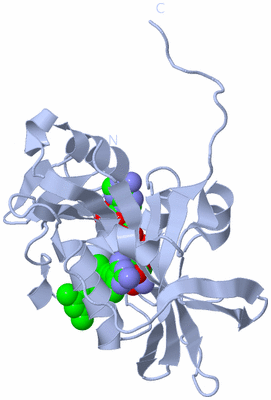 Image Biological Unit 1