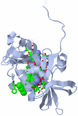 Image Biol. Unit 1 - sites