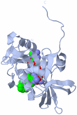 Image Biological Unit 1