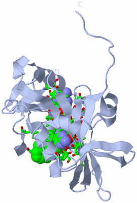 Image Biol. Unit 1 - sites