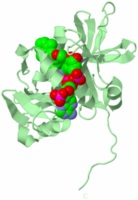 Image Biological Unit 2