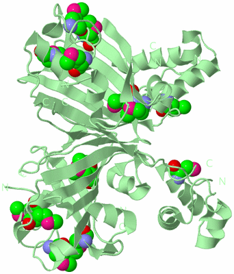 Image Biological Unit 2