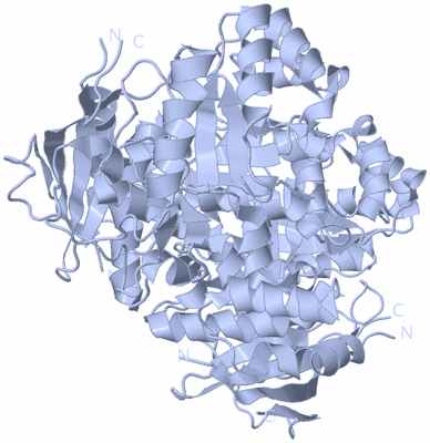 Image Biological Unit 2