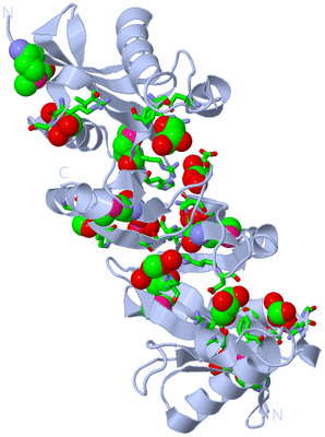 Image Biol. Unit 1 - sites