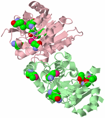 Image Biological Unit 2