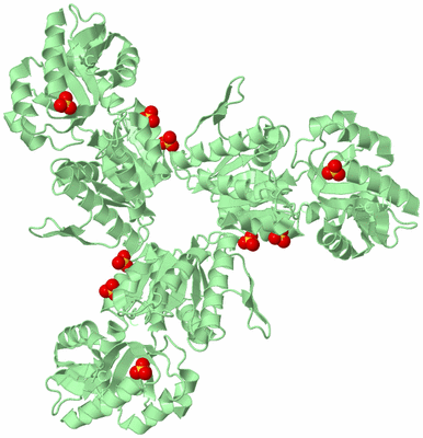 Image Biological Unit 3