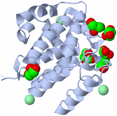 Image Biological Unit 1