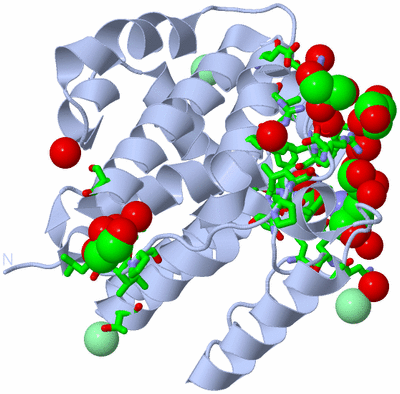 Image Biol. Unit 1 - sites