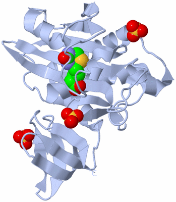 Image Biological Unit 1