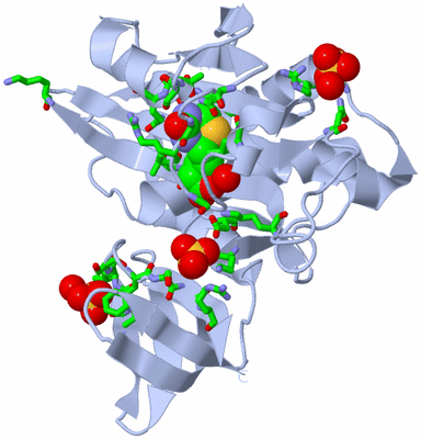 Image Biol. Unit 1 - sites