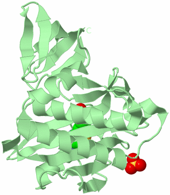 Image Biological Unit 2