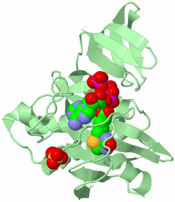 Image Biological Unit 2