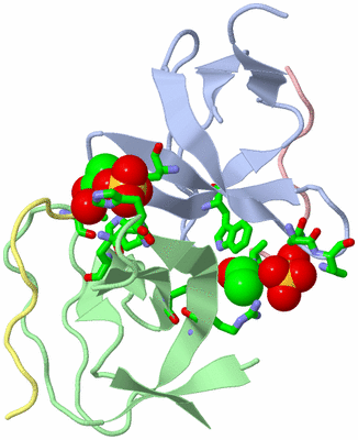 Image Biol. Unit 1 - sites