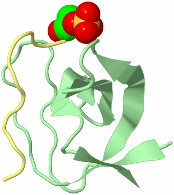 Image Biological Unit 3