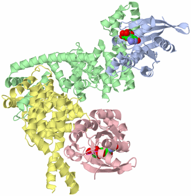 Image Asym./Biol. Unit