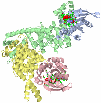 Image Asym./Biol. Unit - sites