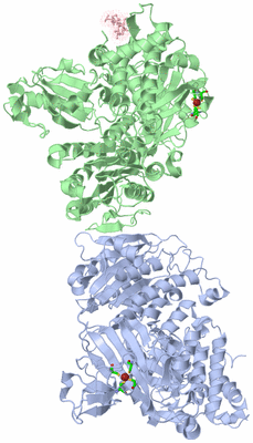 Image Asym./Biol. Unit - sites