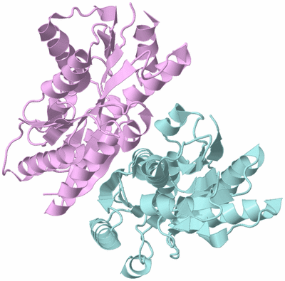 Image Biological Unit 3