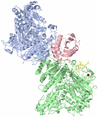 Image Asym./Biol. Unit