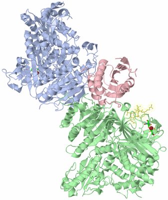 Image Asym./Biol. Unit - sites