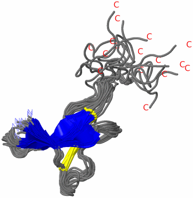 Image NMR Structure - all models