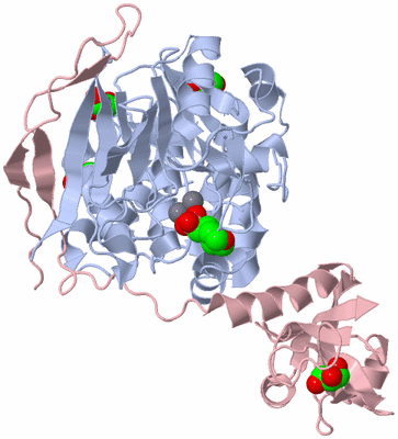 Image Biological Unit 1