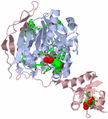 Image Biol. Unit 1 - sites