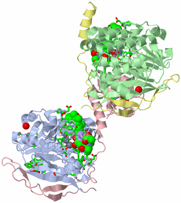 Image Biol. Unit 1 - sites