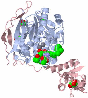 Image Biological Unit 2