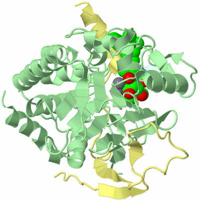 Image Biological Unit 3