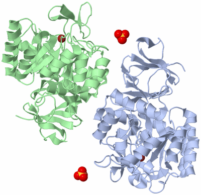 Image Biological Unit 1