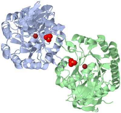 Image Biological Unit 2