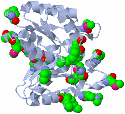 Image Biological Unit 1