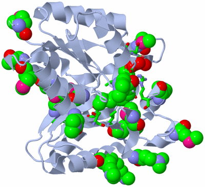 Image Biol. Unit 1 - sites