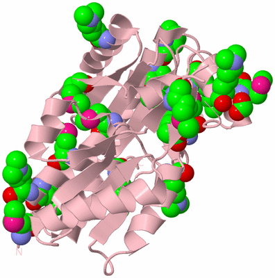 Image Biological Unit 3