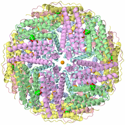 Image Biological Unit 1