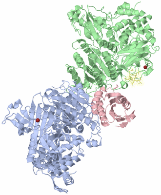 Image Asym./Biol. Unit